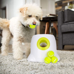 AFP Hyper Fetch, le dispositif interactif pour chien