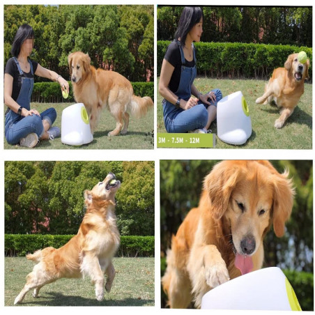 AFP Hyper Fetch, the interactive device for dogs