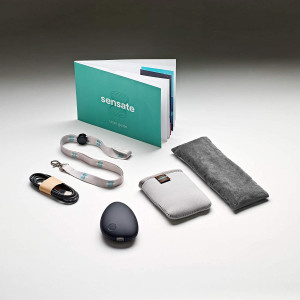 Sensate 2, the deep relaxation device for Sensate 2 is a pebble-sha...