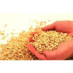 ThermoMag Mysa Duo, le tapis et coussin de massage