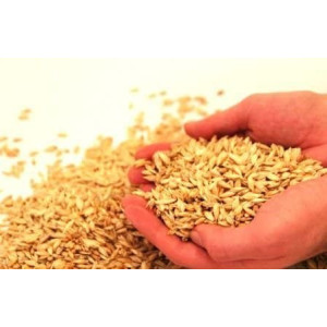 ThermoMag Mysa Duo, le tapis et coussin de massage