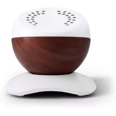 Core Premium : Entraîneur de Méditation Guidée avec Suivi HRV & Exercices de Respiration