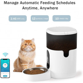 PETODAY PT05: Smart Dog & Cat Feeder | Automated Pet Feeding Solution