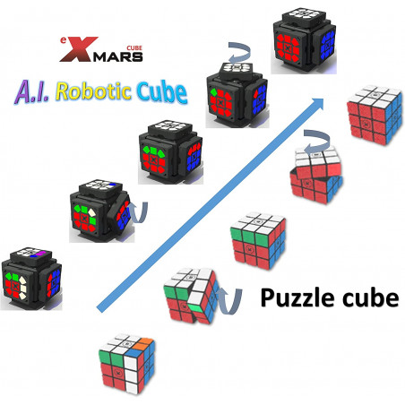 eX-Mars Cube, the artificial intelligence cube