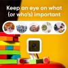 Wyze Cam v3, a camera with color night vision