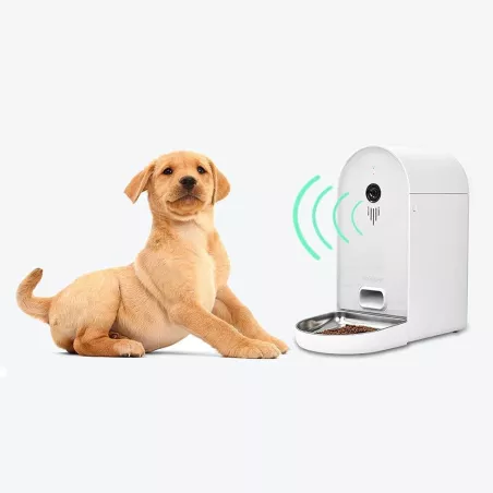 Distributeur Croquettes Intelligent DOGNESS avec Caméra HD: Nourrissez et Surveillez Votre Animal, Où Que Vous Soyez!