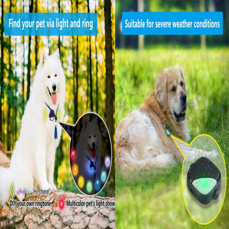 PetFon, the GPS pet tracker