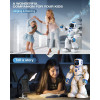 Ruko Ru4413, the intelligent robot