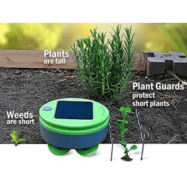 Tertill Garden, The weeding robot for Enjoy a well weeded vegetable
