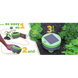 Tertill Garden, The weeding robot for Enjoy a well weeded vegetable