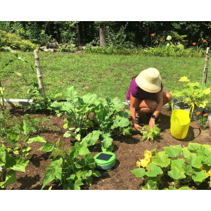 Tertill Garden, The weeding robot