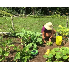 Tertill Garden, Le robot de désherbage