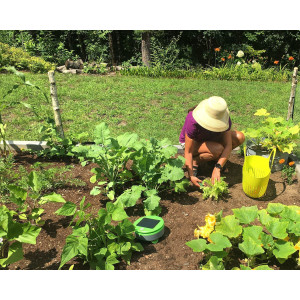 Tertill Garden, Le robot de désherbage