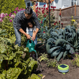 Robot Tertill de Désherbage | Jardinage Solaire Automatisé