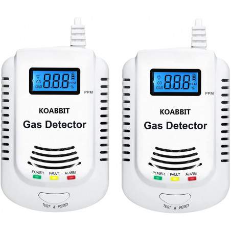 KOABBIT QP111, The 2 in 1 Carbon Monoxide and Explosive Gas