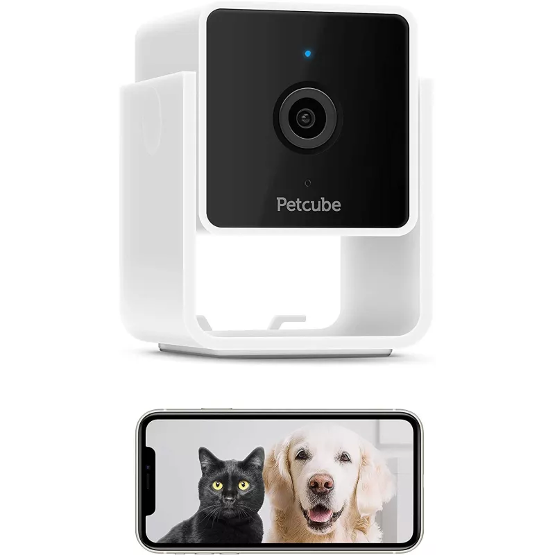 Petcube, la caméra pour chien et chat