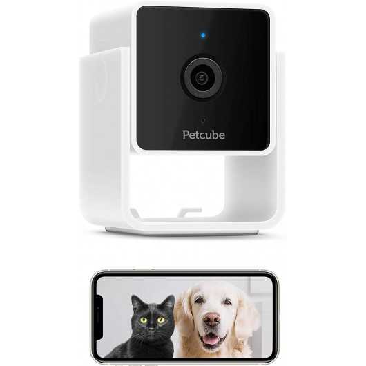 Caméra Petcube, la caméra pour chien et chat pour DECOUVREZ...PETCU...