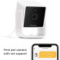Petcube Caméra HD pour Animaux: Surveillez, Parlez et Rassurez Votre Chien/Chat, Vision Nocturne Petcube Caméra HD pour Animaux: Surveillez, Parlez et Rassurez Votre Chien/Chat, Vision Nocturne