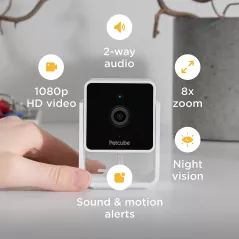 Petcube, la caméra pour chien et chat