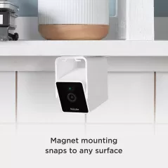 Petcube, la caméra pour chien et chat