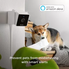 Petcube, la caméra pour chien et chat