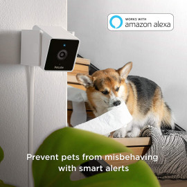 Petcube: Your Ultimate Camera Solution for Monitoring Dogs and Cats