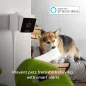 Petcube Caméra HD pour Animaux: Surveillez, Parlez et Rassurez Votre Chien/Chat, Vision Nocturne