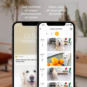 Petcube bites 2, La caméra de surveillance pour animaux de