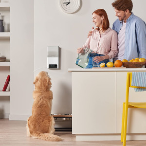 Petcube bites 2, La caméra de surveillance pour animaux de