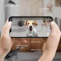 Petcube Bites 2: Caméra Connectée, Distributeur de Friandises – Surveillez et Gâtez Votre Animal!