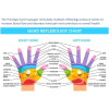 Purology LXB, The compression hand massager