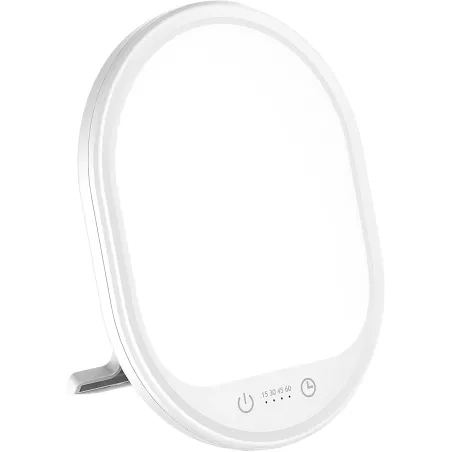 Light Therapy Lamp, UV-Free 10000 Lux Therapy Light, Touch Control with 3 Adjustable Brightness Levels and 4 Timer Function,
