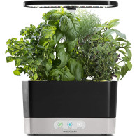 AeroGarden Harvest: Grow Herbs & Veggies Indoors Year-Round