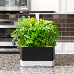 AeroGarden Harvest - Indoor Garden with LED Grow Light, Black