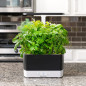 AeroGarden Harvest : Votre Jardin dIntérieur Intelligent pour Herbes et Légumes Frais
