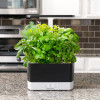 AeroGarden Harvest - Indoor Garden with LED Grow Light, Black