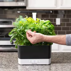 AeroGarden Harvest - Indoor Garden with LED Grow Light, Black