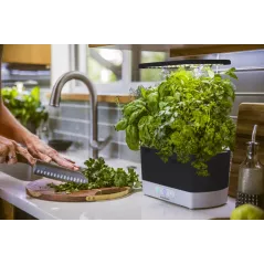 AeroGarden Harvest - Indoor Garden with LED Grow Light, Black