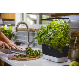 AeroGarden Harvest Jardin d'Intérieur - Cultivez des Herbes et Légumes Frais