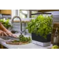 AeroGarden Harvest : Votre Jardin dIntérieur Intelligent pour Herbes et Légumes Frais