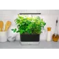 AeroGarden Harvest : Votre Jardin dIntérieur Intelligent pour Herbes et Légumes Frais
