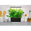 AeroGarden Harvest - Indoor Garden with LED Grow Light, Black