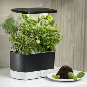 AeroGarden Harvest - Indoor Garden with LED Grow Light, Black