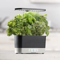 AeroGarden Harvest - Indoor Garden with LED Grow Light, Black