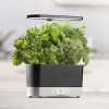 AeroGarden Harvest - Indoor Garden with LED Grow Light, Black