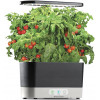 AeroGarden Harvest - Indoor Garden with LED Grow Light, Black