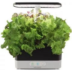 AeroGarden Harvest - Indoor Garden with LED Grow Light, Black