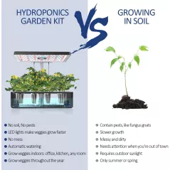 iDOO Hydroponique dIntérieur: Jardin Frais Toute lAnnée, Sans Terre! Légumes, Herbes & Fleurs à Portée de Main