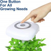 Indoor Garden Hydroponics Growing System, Plant Germination Kit FAFAGRASS Herb Garden Kit Vegetable Growth Lamp Countertop,