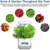 Indoor Garden Hydroponics Growing System, Plant Germination Kit FAFAGRASS Herb Garden Kit Vegetable Growth Lamp Countertop,